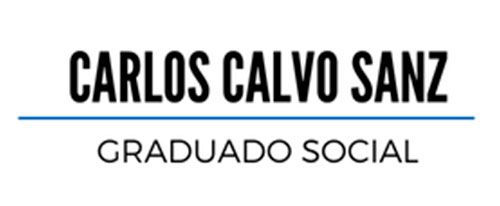 Carlos Calvo Sanz